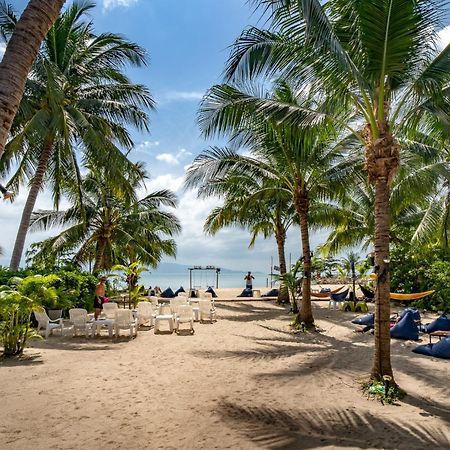 Echo Beach Hostel Baan Tai Ngoại thất bức ảnh