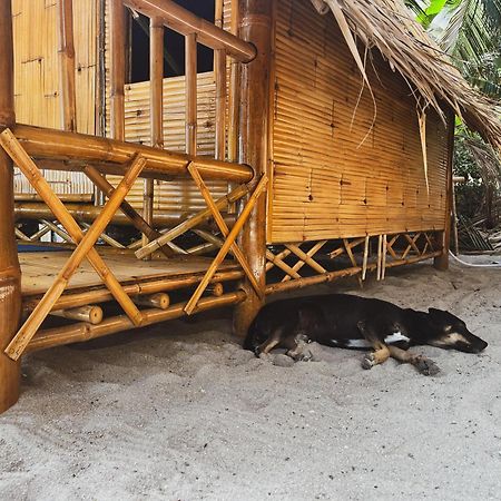 Echo Beach Hostel Baan Tai Ngoại thất bức ảnh