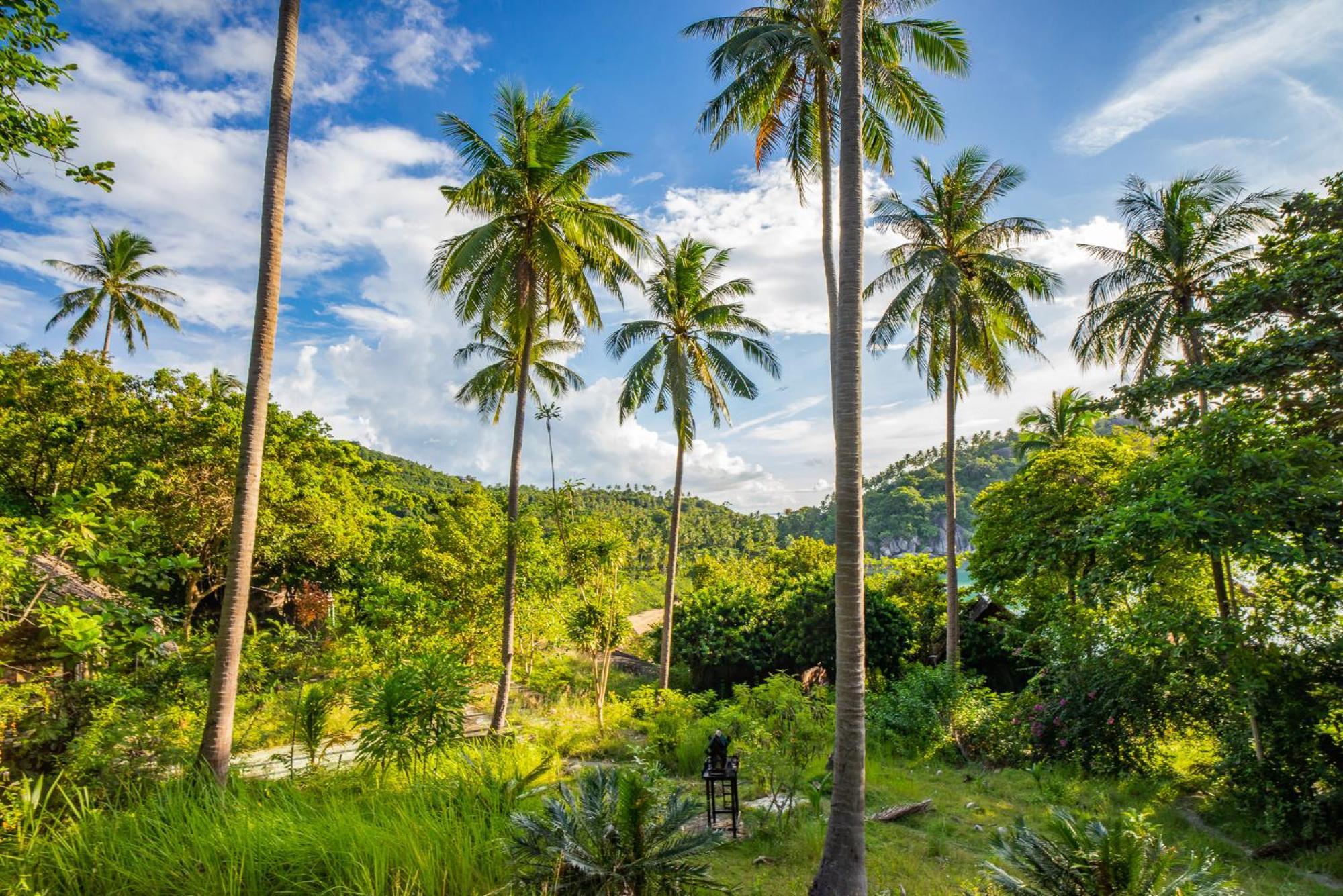 Echo Beach Hostel Baan Tai Ngoại thất bức ảnh