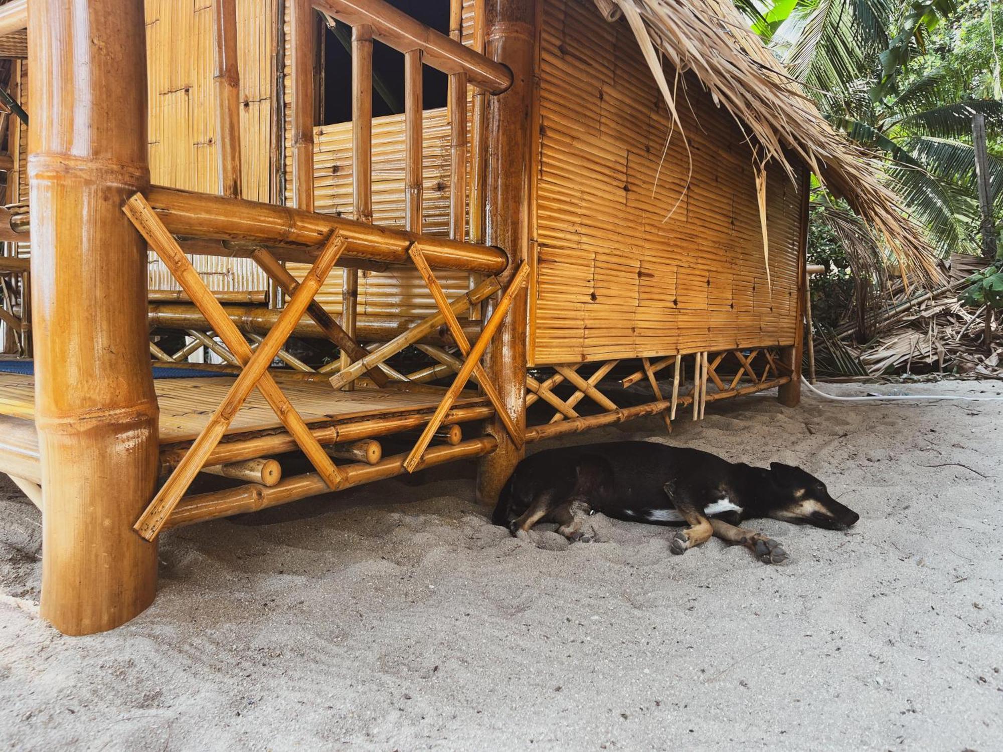 Echo Beach Hostel Baan Tai Ngoại thất bức ảnh